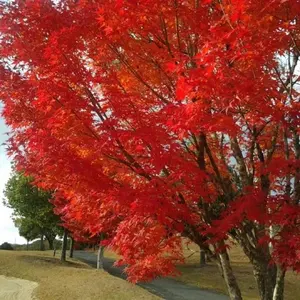 写真家 三島浩氏「ニューヨークシリーズ1」 - メルカリ