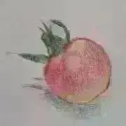 匿名配送】ヴァイス Elegant Clockwork 狂三 FBR サイン - メルカリ