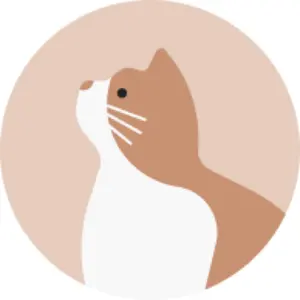 組み立てテーブル ブラック JACKALL × TETSUZAN 釣りフェス限定 - メルカリ