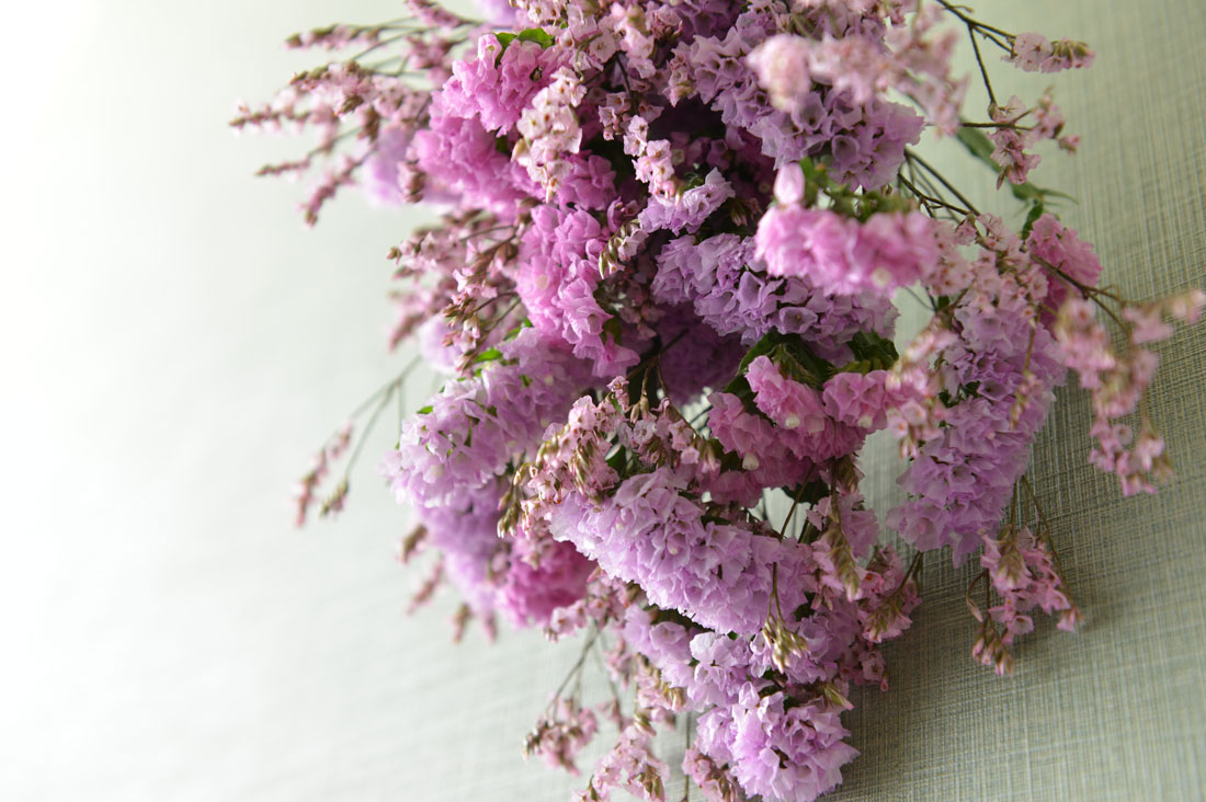 季節のスワッグ】新春を華やかに彩る「スターチスのスワッグ」の作り方