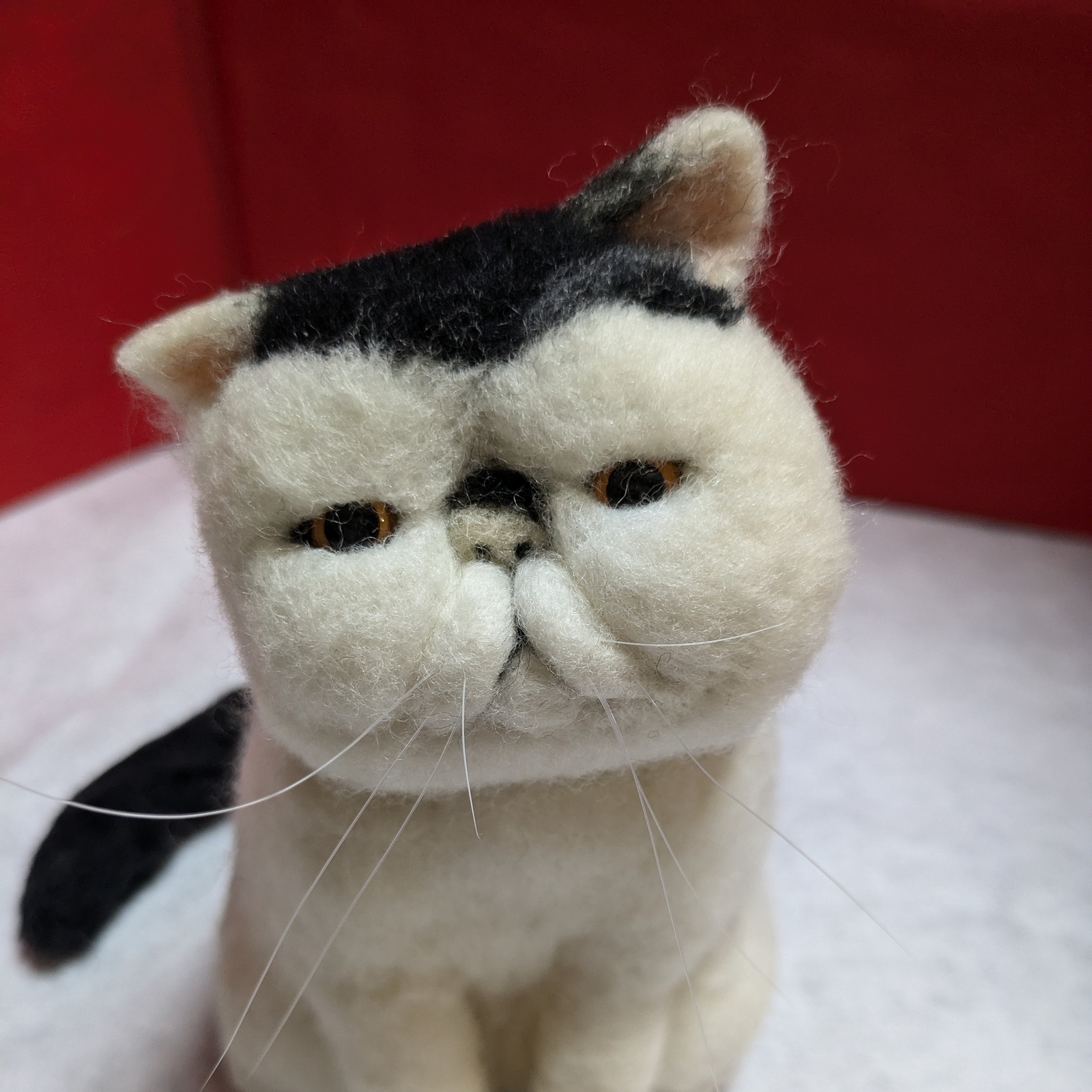 エキゾチックショートヘア 羊毛フェルト - 豆ルーム | minne byGMO