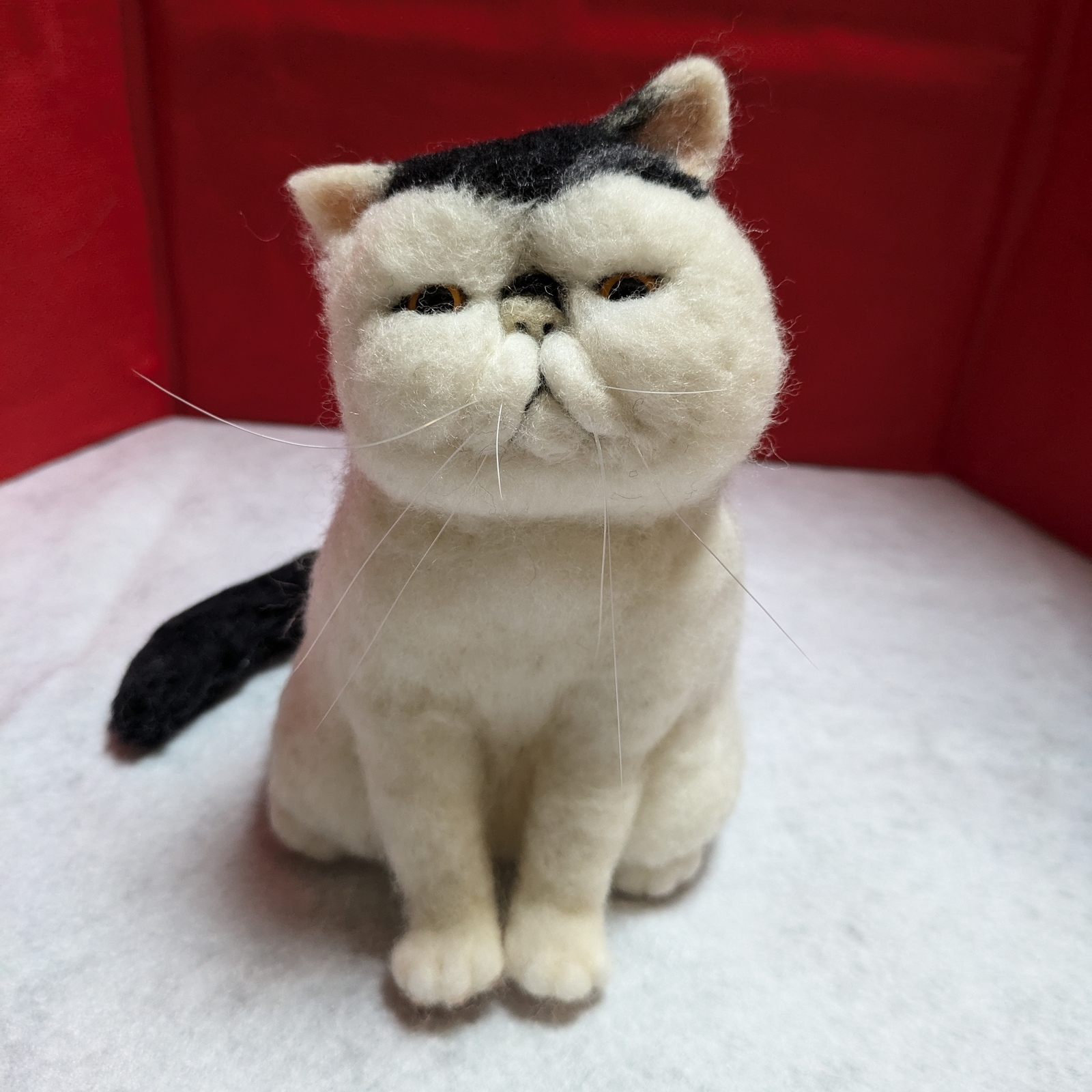 エキゾチックショートヘア 羊毛フェルト - 豆ルーム | minne byGMO