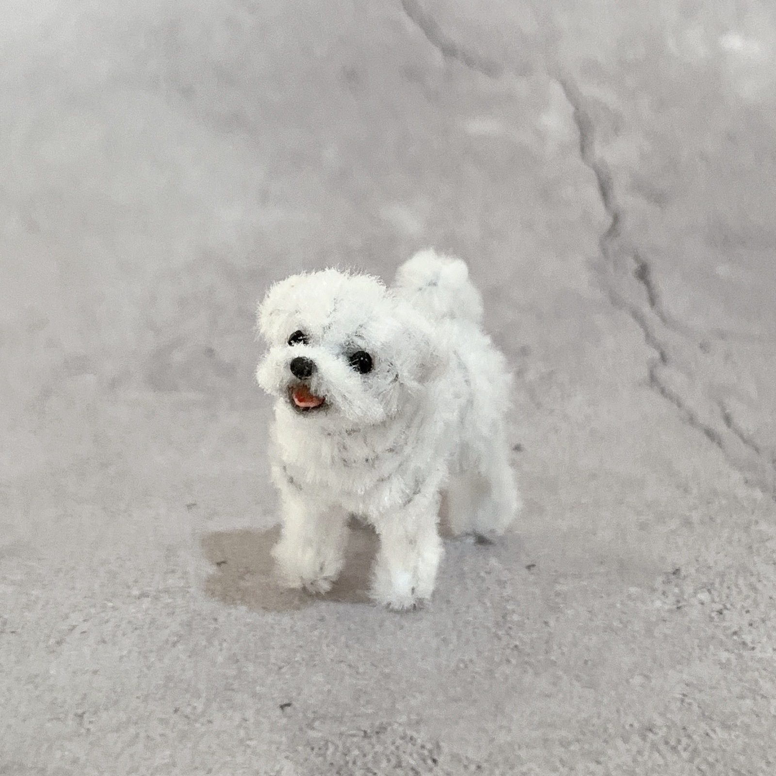 モールアートのミニチュア犬＊マルプー＊へそ天 - uco_felt | minne