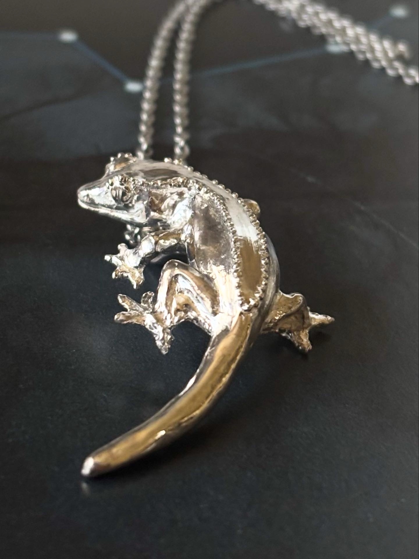 フトアゴヒゲトカゲのネックレス - ジュエリー工房岩田あかね | minne