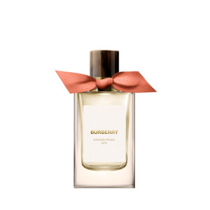 BURBERRY シグネーチャー ホーソンブルーム 12％ 100ml BURBERRY シグ