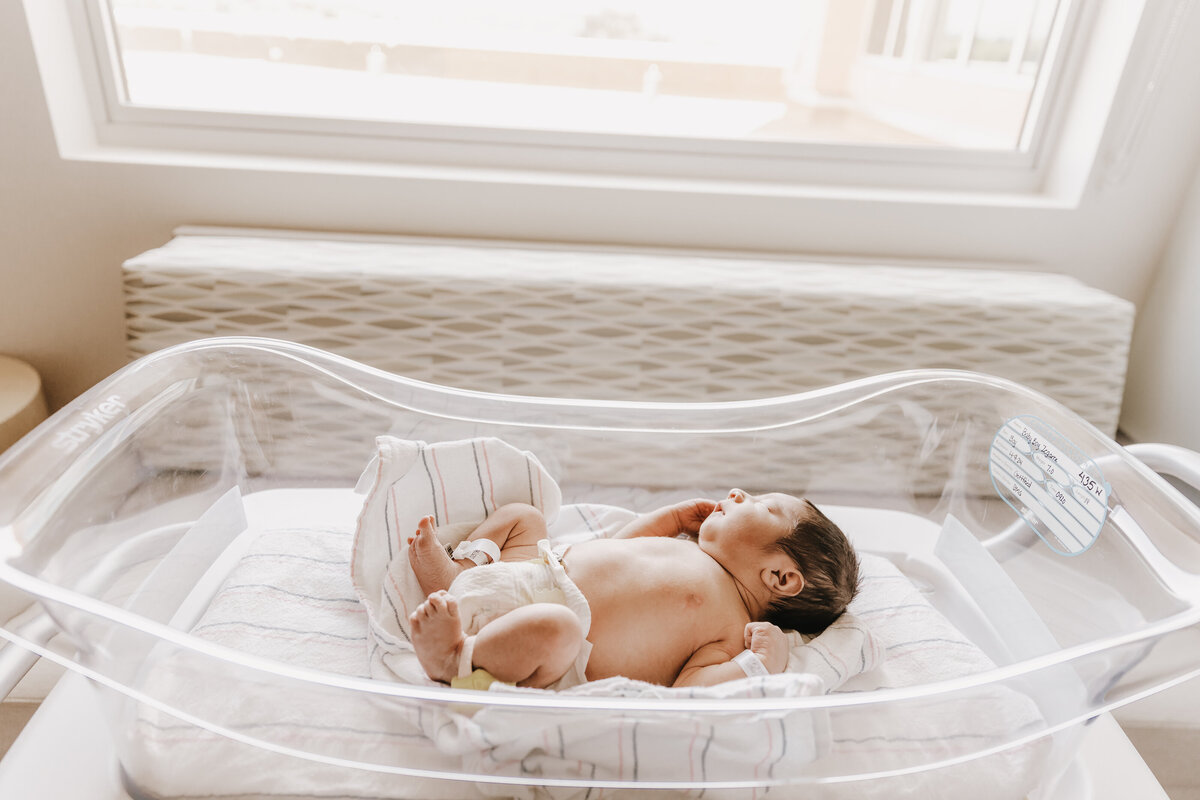 Phoenix Fresh 48 Photographer | Shanyn Nicole