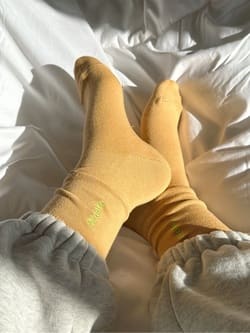 WEB限定40色】オールシーズン履けるカラフルソックス ( 081140017