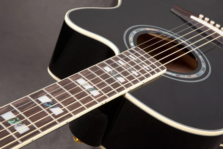 AEL30SE | Ibanez Wiki | Fandom