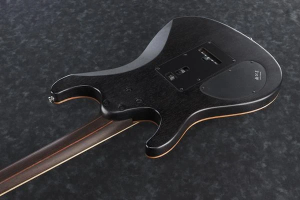 SA1060WZC | Ibanez Wiki | Fandom