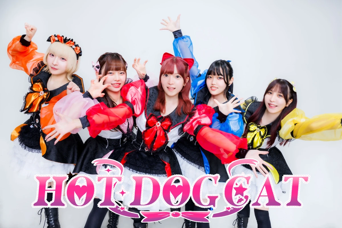 HOT DOG CAT | Jpop Wiki | Fandom