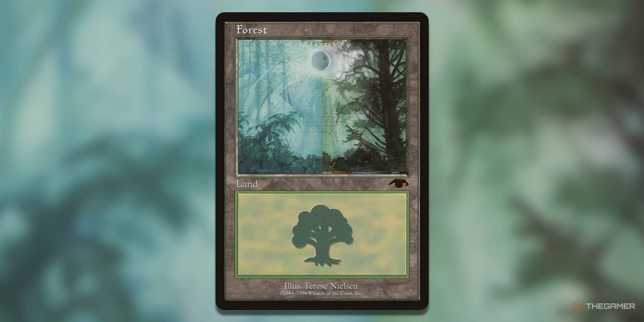The 10 Most Valuable Basic Forests In MTG