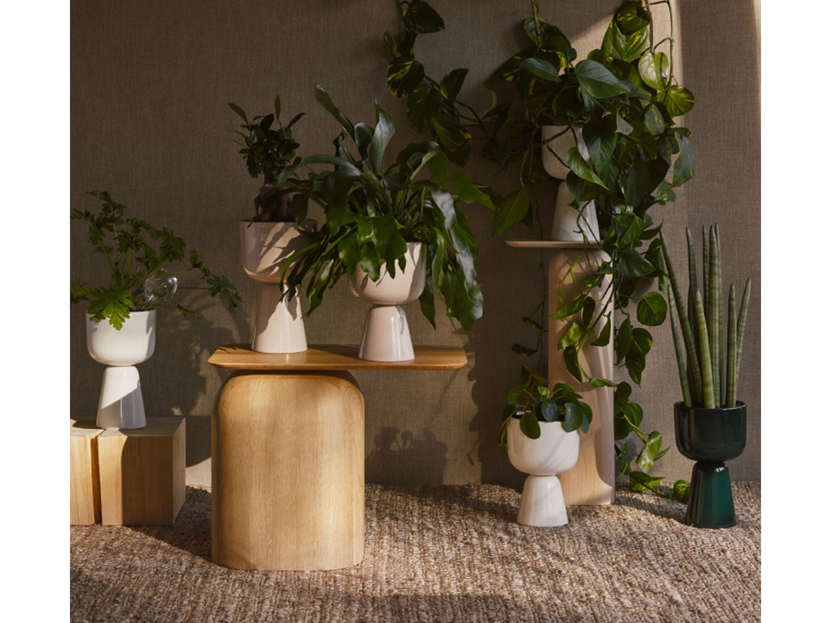 iittala Nappula Plant Pot / イッタラ ナップラ プラントポット 260