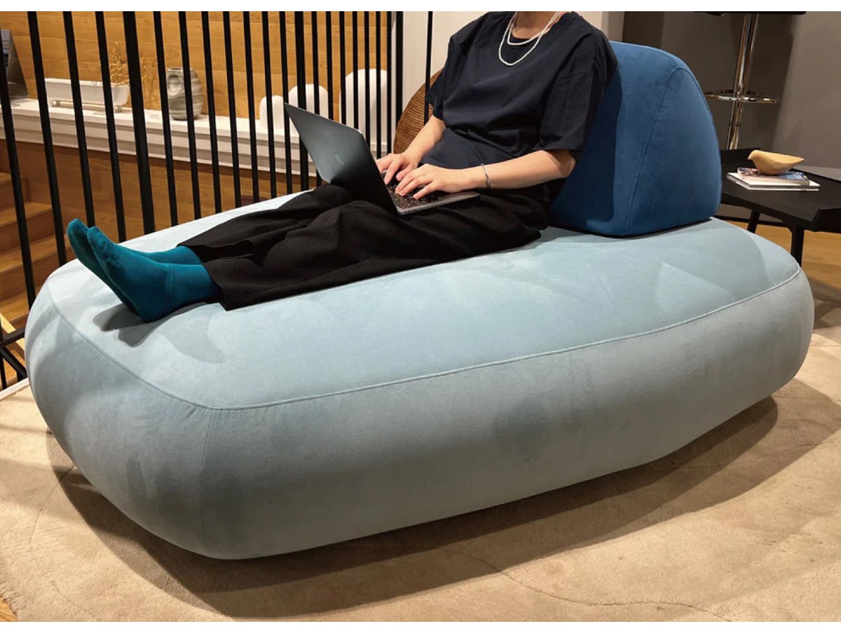 ligne roset ROSETTelen / リーン・ロゼ ロゼテレン 背クッション