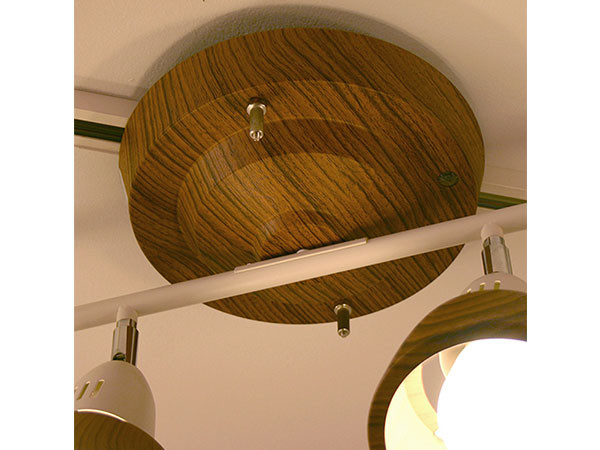 ART WORK STUDIO Harmony-remote ceiling lamp / アートワークスタジオ