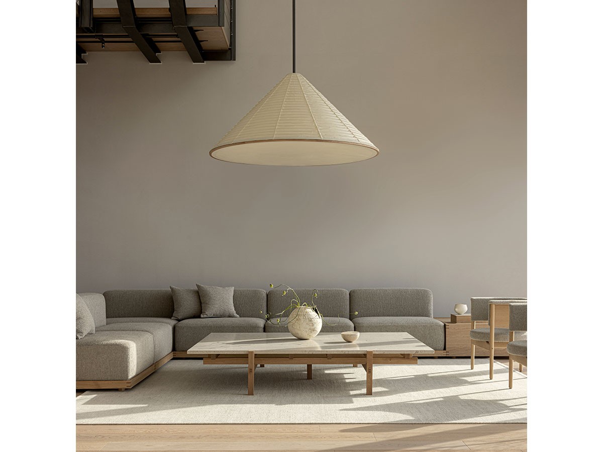 KARIMOKU CASE N-PL01 / カリモクケース N-PL01 - インテリア・家具