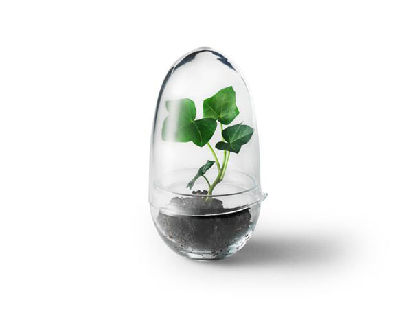 Design House Stockholm Grow greenhouse Clear glass / デザイン