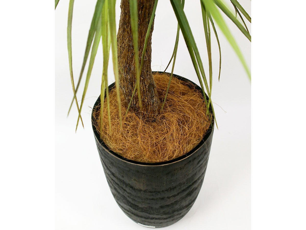 EMILIO ROBBA PALM / エミリオロバ パーム - インテリア・家具通販