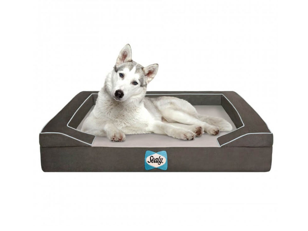 Sealy Sealy Dog Bed Lux Premium / シーリー シーリー ドッグベッド