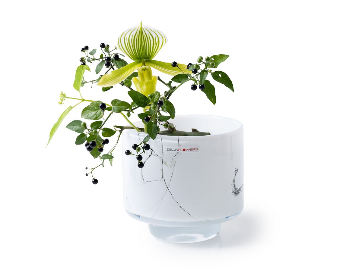 Henry Dean V.Akiko L / ヘンリーディーン V.アキコ L（スタンダード