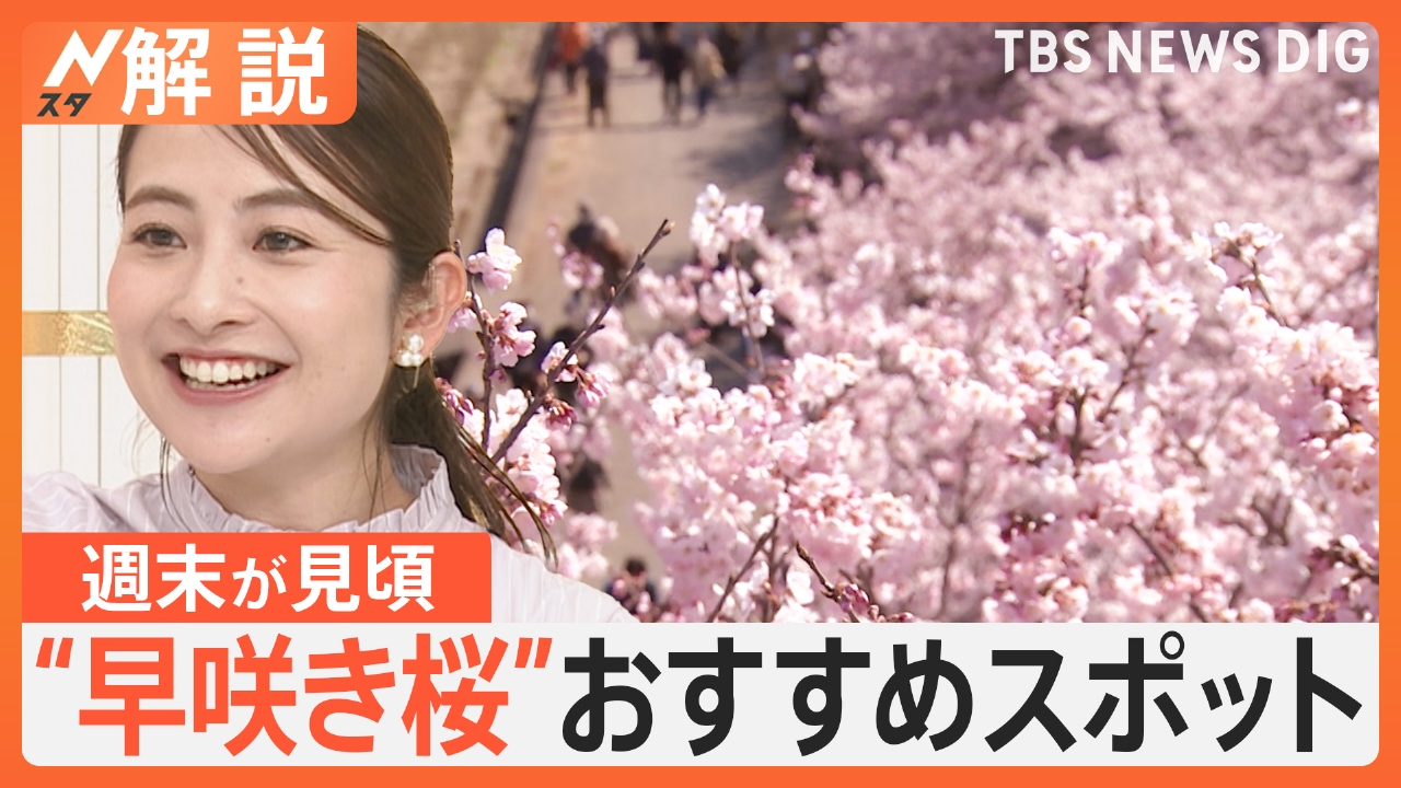 TBS NEWS DIG Powered by JNN 3月21日(金)放送分 “早咲き桜”おすすめ