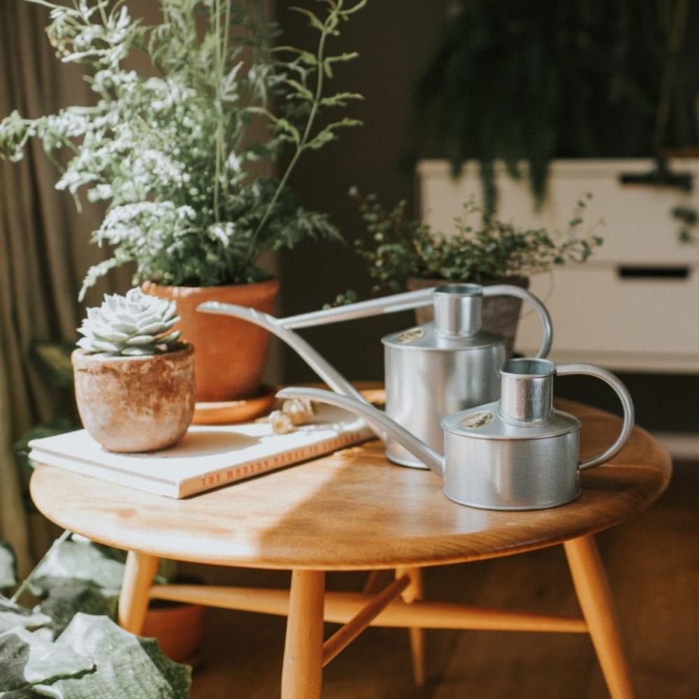 HAWS ホーズ】Pot Waterer 1L 4色 グリーン サルビアグリーン