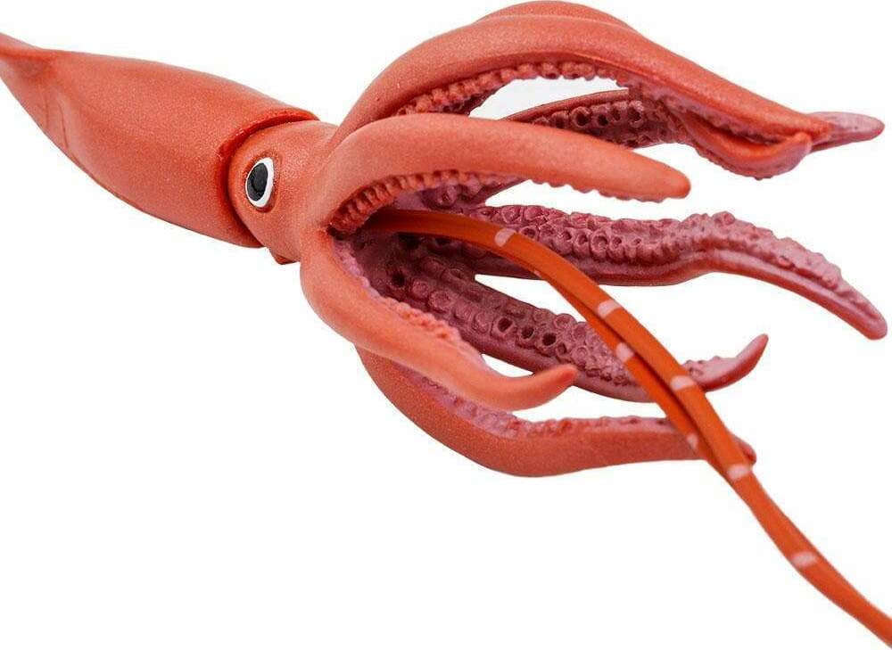 Sealife Giant Squid Toy – Stevenson's Toys & Games