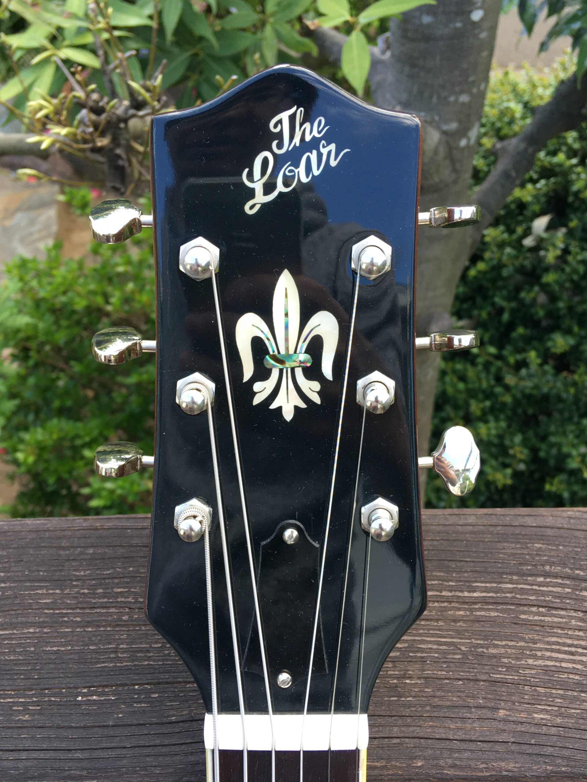 Loar LH-309 – Mizuki's music site