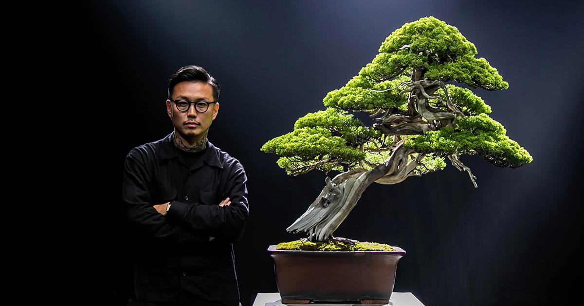 1鉢で億超え。ナイキやベンツから依頼殺到の盆栽界カリスマ・小島鉄平