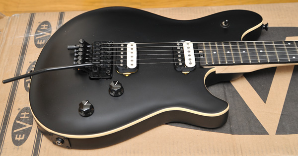 2015 EVH Wolfgang Special Stealth (Arch-Top)EVH ウルフギャング
