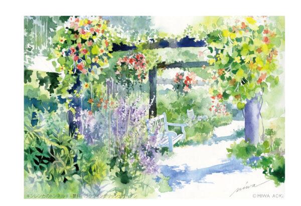 青木美和 in蓼科バラクライングリッシュガーデン 透明水彩画展 - 日本